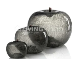 BULL&STEIN 3 Appels transparence Bull & Stein