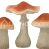 J-LINE 3 Deco paddenstoelen Danda tuindecoratie