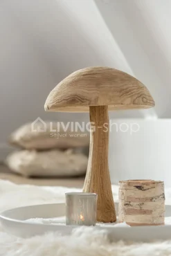 J-LINE 3 Deco paddenstoelen Danda tuindecoratie