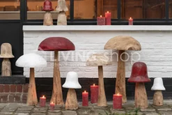 J-LINE 3 Deco paddenstoelen Danda tuindecoratie