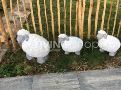 J-LINE Beeld schaap S