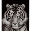 J-LINE wanddecoratie tijger getemperd glas