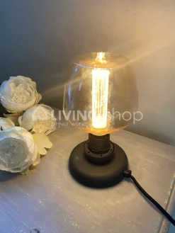 Verlichting online LED Kooldraadlamp E27 met dimmer 3 dimstanden