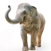 Lou&Friends Muursticker olifant XS