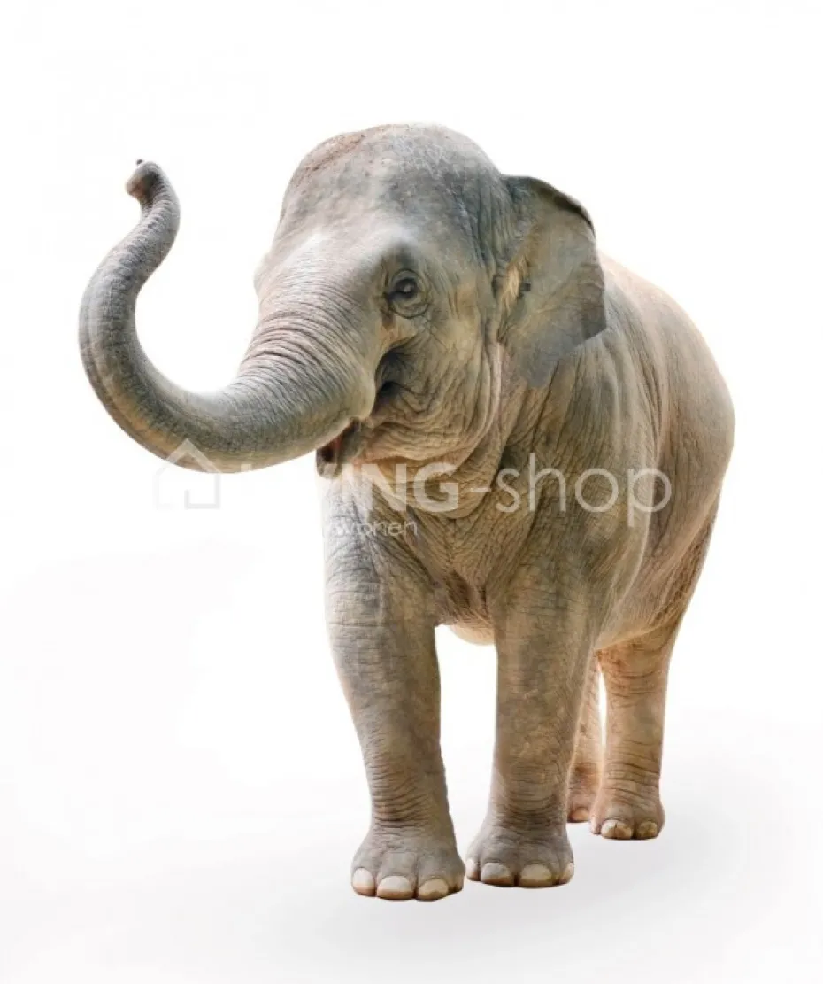 Lou&Friends Muursticker olifant XS