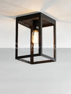 Verlichting online Plafondlamp industrieel plafonnier