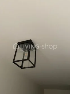 Verlichting online Plafondlamp industrieel plafonnier