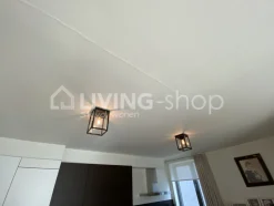 Verlichting online Plafondlamp industrieel plafonnier