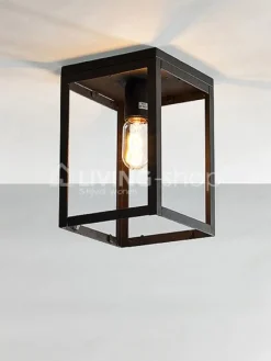 Verlichting online Plafondlamp industrieel plafonnier