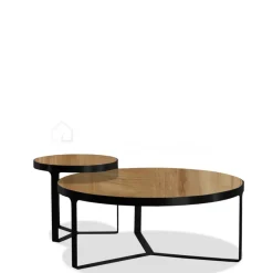 PR LIVING salontafel Pluto hout en metaal