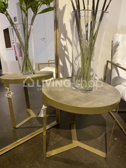 PR LIVING salontafel Pluto hout en metaal