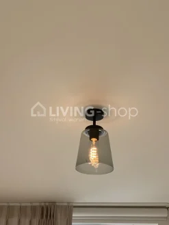 Verlichting online Retro loft plafondlamp donkerbrons met glazen lampenkap grijs fume